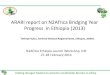 ARARI report on N2Africa Bridging Year Progress in Ethiopia (2013)