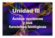 Unidad 3 Ac. Nucleicos Funciones Biologicas