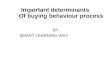 Important determinants of buying behaviour process
