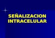 Senalizacion Intracelular Haroldo Villarroel