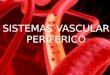 Sistema vascular semiologia parte 1