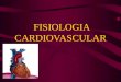 Fisiología cardiovascular