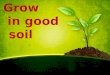 Grow in good soil