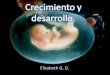 Crecimiento y desarrollo embrionario y fetal