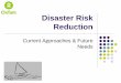 DRR: Current Approaches and Future Needs