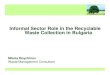 Informal sector role in the recyclable waste collection in bulgaria