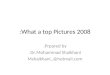 What A Top Pictures 2008