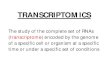 Transcriptomics and metabolomics
