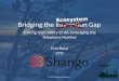 Bridging the Innovation / Ecosystem Gap, Shango, Evin Hunt, TADSummit