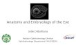 Anatomy and embryology of the eye 2011