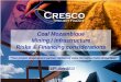 Rob Futter, CRESCO Project Finance (Pty) Ltd - Mining and Infrastructure - Risks and Financing Considerations