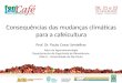 Palestra Consequências das Mudanças Climáticas para a Cafeicultura