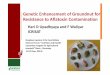 Hari D Upadhyaya and Farid Waliyar "Genetic Enhancement of Groundnut for Resistance to Aflatoxin Contamination"