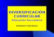 Diversificacion Curricular En La Edu. Sec.1