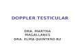 Doppler Testicular, Elma