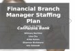 Staffing Plan for Financial Branch Manager