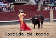 Corrida de toros (en español)