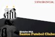 Planejamento Eleições Santos Futebol Clube - 2014