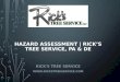 Hazard Assessment | Rick’s Tree Service, PA & DE