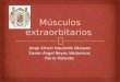 Músculos extraorbitarios