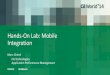 Hands-On Lab: Mobile Integration
