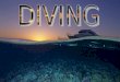 Diving  ildy
