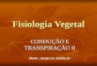 2 Ano - Fisiologia vegetal - Condução e transpiração II
