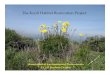 The Knoll Habitat Restoration Project