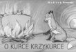 Diaskop 05 - O Kurce Krzykurce (About Hen Krzykurka)