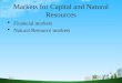 Bec doms ppt on markets for capital and natural resources