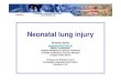 Neonatal lung injury