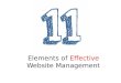 11 elements of effective website management