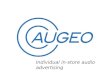 Augeo - brief presentation