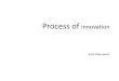 Innovation process