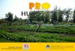 Presentación del programa Pro Huerta