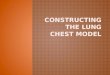 Constructing the lung chest model