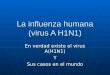 La Influenza Humana A(H1 N1)