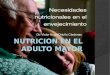 Nutricion en el adulto mayor