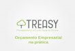 Workshop Orçamento Empresarial na prática - Treasy | Planejamento e Controladoria online!