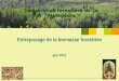 Entreposage de la biomasse forestière