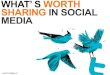 What is worth sharing on Twitter and Linkedin