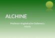 Alchine 97 2003