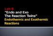 Notes gb lab 08 endothermic and exothermic reactions