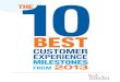 Ebook: The 10 Best Customer Experience Milestones from 2013