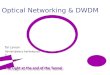 Optical Networking & DWDM