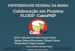 Colaboração em Projetos FLOSS: CakePHP