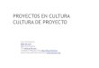 Proyectos culturales. Cultura de proyecto