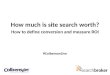 How much is site search worth? How to define conversion and calculate ROI