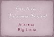 Alunas Big Linux