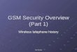 Intro to GSM by Yuri Sherman